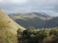cantara gurne23122011 081
